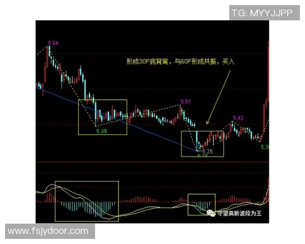 雷恩与奥尔良历史交锋记录分析及战绩回顾